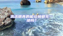洗潔精真的能讓蟑螂死一地嗎？