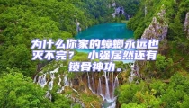 為什么你家的蟑螂永遠(yuǎn)也滅不完？ 小強(qiáng)居然還有鎖骨神功。