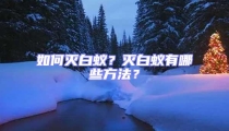 如何滅白蟻？滅白蟻有哪些方法？