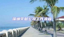 深圳滅鼠公司工作流程