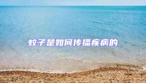 蚊子是如何傳播疾病的