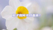 蚊子如何尋找血源？
