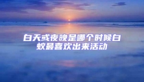 白天或夜晚是哪個時候白蟻最喜歡出來活動
