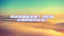 臭蟲有哪些危害？我們應該如何消滅臭蟲？