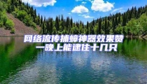 網(wǎng)絡(luò)流傳捕蟑神器效果贊 一晚上能逮住十幾只