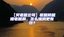 【滅老鼠公司】驅鼠防鼠堵老鼠洞，怎么堵洞更有效？