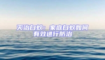滅治白蟻：家庭白蟻如何有效進(jìn)行防治