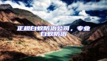 正規(guī)白蟻防治公司，專業(yè)白蟻防治