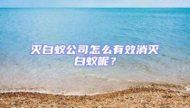 滅白蟻公司怎么有效消滅白蟻呢？
