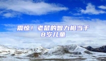 震驚！老鼠的智力相當于8歲兒童