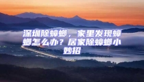 深圳除蟑螂，家里發(fā)現(xiàn)蟑螂怎么辦？居家除蟑螂小妙招