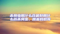 殺臭蟲用什么藥最好用什么藥殺臭蟲、跳蚤螞蟻等