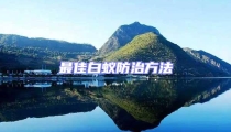 最佳白蟻防治方法