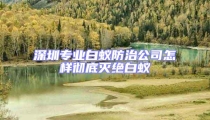 深圳專業(yè)白蟻防治公司怎樣徹底滅絕白蟻