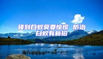 碰到白蟻莫要驚慌 防治白蟻有新招