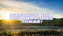 深圳滅螞蟻公司：螞蟻有哪些讓人值得學(xué)習(xí)的生活習(xí)性和品質(zhì)？
