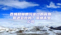 蒼蠅和蟑螂污染過(guò)的食物 你還會(huì)吃嗎？深圳殺蟲(chóng)公司