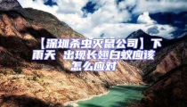 【深圳殺蟲(chóng)滅鼠公司】下雨天 出現(xiàn)長(zhǎng)翅白蟻應(yīng)該怎么應(yīng)對(duì)