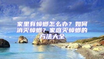 家里有蟑螂怎么辦？如何消滅蟑螂？家庭滅蟑螂的方法大全