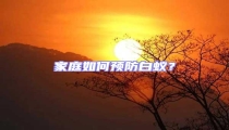家庭如何預防白蟻？