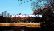 除臭蟲(chóng)最簡(jiǎn)單的方法