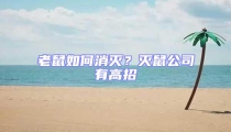 老鼠如何消滅？滅鼠公司有高招