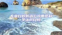 專業(yè)白蟻防治公司帶您科學(xué)認(rèn)識白蟻