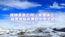 深圳殺蟲(chóng)公司：家里床上.宿舍木板床黑色小蟲(chóng)子是什么？