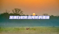 深圳白蟻防治預防的措施