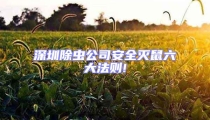 深圳除蟲(chóng)公司安全滅鼠六大法則!