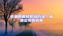 衣魚的最佳防治方法？殺蟲公司告訴你